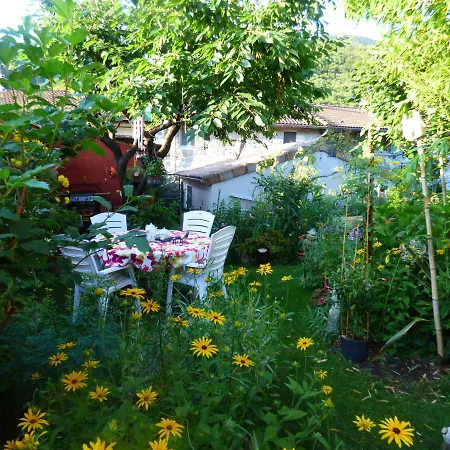 Les Rudbeckias *